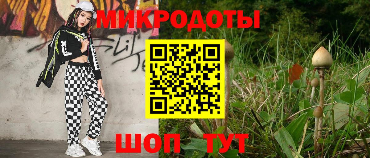 Галлюциногенные грибы Psilocybe  Вход с VPN  Ступино 