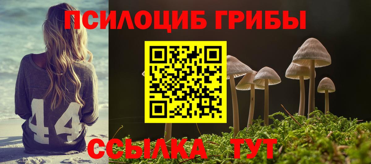 Галлюциногенные грибы ЛСД Ступино
